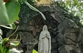 image-1267006682242441