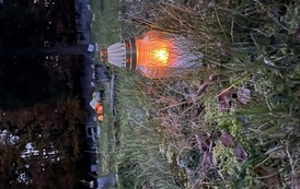 IMG_3294.jpeg