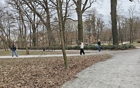 IMG-20260325-WA0011