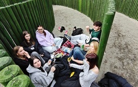 IMG-20260325-WA0008